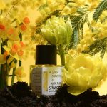 عطر ادکلن آ سورته فری تیل این هاید پارک استرنجرز پرفیومری - A Sorta Fairytale In Hyde Park Strangers Parfumerie - بررسی، قیمت و خرید