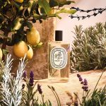 عطر ادکلن ویناگر د تویلت ادیشن مدیترانه دیپتیک - Vinagre de Toilette Edition Méditerranée Diptyque - بررسی، قیمت و خرید