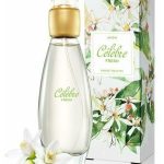 عطر ادکلن سلبره فرش اِیوون - Célèbre Fresh Avon - بررسی، قیمت و خرید