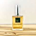 عطر ادکلن کویر ا شامپیون دی‌اس‌اچ پرفیومز - Cuir et Champignon DSH Perfumes - بررسی، قیمت و خرید