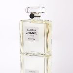 عطر ادکلن گاردنیا اکستریت د پارفوم شنل - Gardénia Extrait de Parfum Chanel - بررسی، قیمت و خرید
