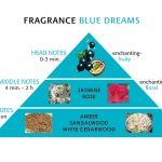 عطر ادکلن بلو دریمز ام ازام - Blue Dreams M. Asam - بررسی، قیمت و خرید
