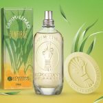 عطر ادکلن کاپیم-لیمانو جِنجیبری لوکسیتان او برزیل - Capim-Limão Gengibre L’Occitane Au Brésil - بررسی، قیمت و خرید