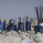 عطر ادکلن مونلیت کامومیل جو مالون لندن - Moonlit Camomile Jo Malone London - بررسی، قیمت و خرید