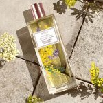 عطر ادکلن پودری میموزا اوریفلیم - Powdery Mimosa Oriflame - بررسی، قیمت و خرید