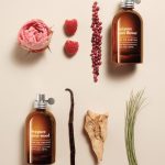 عطر ادکلن پیور وود هج‌پور - Pure Wood Hej:Pure - بررسی، قیمت و خرید