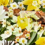 عطر ادکلن اسکاپید سولایر ژاردن بُهم - Escapade Solaire Jardin Bohème - بررسی، قیمت و خرید