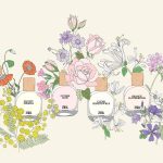 عطر ادکلن اگزاتیک میموزا زارا - Exotic Mimosa Zara - بررسی، قیمت و خرید
