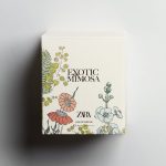عطر ادکلن اگزاتیک میموزا زارا - Exotic Mimosa Zara - بررسی، قیمت و خرید
