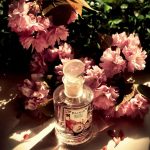 عطر ادکلن بلوم پور فم مونوتمه ونیزیا - Bloom Pour Femme Monotheme Venezia - بررسی، قیمت و خرید
