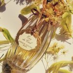 عطر ادکلن او دو سیل گوتال - Eau du Ciel Goutal - بررسی، قیمت و خرید