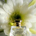 عطر ادکلن مون جاسمین نویر لو اکسکیوز بولگاری - Mon Jasmin Noir L'Eau Exquise Bvlgari - بررسی، قیمت و خرید