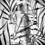 عطر ادکلن لس کریشنز د مسیو دیور فوراور اند اور دیور - Les Creations de Monsieur Dior Forever and Ever Dior - بررسی، قیمت و خرید