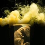 عطر ادکلن تایرانوساروس رکس زئولوژیست پرفیومز - Tyrannosaurus Rex Zoologist Perfumes - بررسی، قیمت و خرید