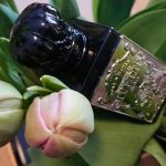 عطر ادکلن ایمپریشنز د ژیورنی فورت اند منلی - Impressions de Giverny Fort & Manle - بررسی، قیمت و خرید