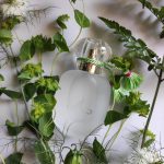 عطر ادکلن آن زست د رز لز پارفوم دِ روسین - Un Zeste de Rose Les Parfums de Rosine - بررسی، قیمت و خرید