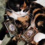عطر ادکلن سیوت زولوژیست پرفیومز - Civet Zoologist Perfumes - بررسی، قیمت و خرید