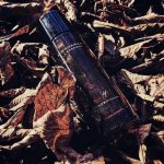 عطر ادکلن اسنس لبدانوم دانا کارن - Essence Labdanum Donna Karan - بررسی، قیمت و خرید