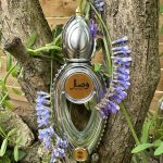 عطر ادکلن ویسال اجمل - Wisal Ajmal - بررسی، قیمت و خرید