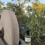 عطر ادکلن ال کوزمیکو دی اس اند درگا - El Cosmico DS&Durga - بررسی، قیمت و خرید
