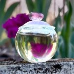 عطر ادکلن نوا فلور کاشرل - Noa Fleur Cacharel - بررسی، قیمت و خرید