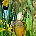 عطر ادکلن آماریج ژیوانشی - Amarige Givenchy - بررسی، قیمت و خرید