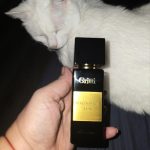 عطر ادکلن مگنیفیکا لاکس گریتی - Magnifica Lux Gritti - بررسی، قیمت و خرید
