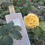 عطر ادکلن رز د مای پریس مونته کارلو - Rose De Mai Perris Monte Carlo - بررسی، قیمت و خرید