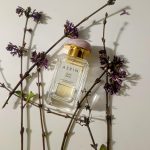 عطر ادکلن لیلک پث آرین - Lilac Path Aerin - بررسی، قیمت و خرید