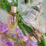 عطر ادکلن آکوا نوبیله جِلسومینو آکوا دی پارما - Acqua Nobile Gelsomino Acqua di Parma - بررسی، قیمت و خرید
