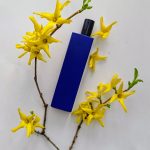 عطر ادکلن دیس ایز نات ا بلو باتل هیستوار د پارفوم - This Is Not A Blue Bottle Histoires de Parfums - بررسی، قیمت و خرید