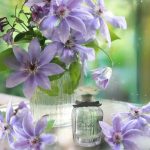 عطر ادکلن دولچه دولچه اند گابانا - Dolce Dolce&Gabbana - بررسی، قیمت و خرید
