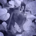 عطر ادکلن الور شانل - Allure Chanel - بررسی، قیمت و خرید