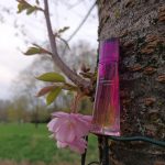 عطر ادکلن وری ایریزیستیبل سنشوال ژیوانشی - Very Irresistible Sensual Givenchy - بررسی، قیمت و خرید