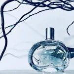 عطر ادکلن بارنیا ارمس - Barénia Hermès - بررسی، قیمت و خرید