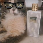 عطر ادکلن ژاسمن د پی پریس مونت کارلو - Jasmin De Pays Perris Monte Carlo - بررسی، قیمت و خرید