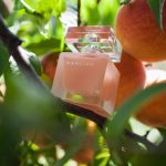 عطر ادکلن نارسيسو او نرولی آمبره نارسیسو رودریگز - Narciso Eau Néroli Ambrée Narciso Rodriguez - بررسی، قیمت و خرید