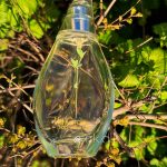 عطر ادکلن لایف سیرکل سپ اوریفلیم - Life Circle Sap Oriflame - بررسی، قیمت و خرید