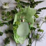عطر ادکلن آن زست د رز لز پارفوم دِ روسین - Un Zeste de Rose Les Parfums de Rosine - بررسی، قیمت و خرید