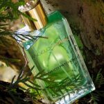 عطر ادکلن مگنیفیکو پاچولی آنجلو کارولی - Magnifico Patchouli Angelo Caroli - بررسی، قیمت و خرید