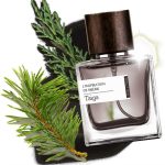 عطر ادکلن تایگا سایبریَن وِلنس - Taiga Siberian Wellness - بررسی، قیمت و خرید