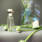 عطر ادکلن پلژرز استی لودر - Pleasures Estée Lauder - بررسی، قیمت و خرید