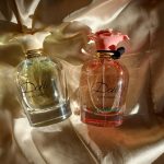 عطر ادکلن دولچه دولچه اند گابانا - Dolce Dolce&Gabbana - بررسی، قیمت و خرید