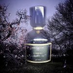 عطر ادکلن لوبلیو مئو فوشیونی - L'Oblìo Meo Fusciuni - بررسی، قیمت و خرید