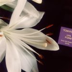 عطر ادکلن لیز فیوم تام فورد - Lys Fume Tom Ford - بررسی، قیمت و خرید