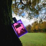 عطر ادکلن آمبر او دو پرفیوم مولینارد - Ambre Eau de Parfum Molinard - بررسی، قیمت و خرید