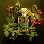 عطر ادکلن مالمیسون دوازده پرفیومر فرانسوی - Malmaison 12 Parfumeurs Francais - بررسی، قیمت و خرید