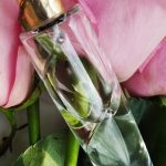 عطر ادکلن الکسیر دو رز آیدی پارفومز - Elixir de Rose ID Parfums - بررسی، قیمت و خرید