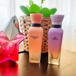 عطر ادکلن تراکوستا ماسک آدولفو دومینگز - Terracota Musk Adolfo Dominguez - بررسی، قیمت و خرید