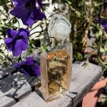 عطر ادکلن هانه موری هانا موری - Hanae Mori Hanae Mori - بررسی، قیمت و خرید